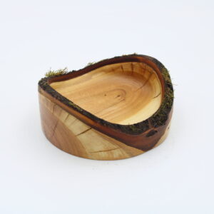 Schale Pfirsich mit Naturrand